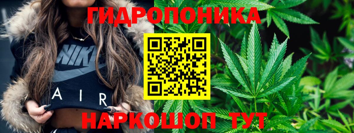 Бошки Шишки гибрид Елец